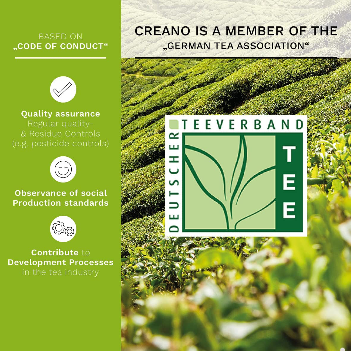 Flowering Abloom Tea - Blooming Gift Set in Stylish Wooden Box, 12Pcs