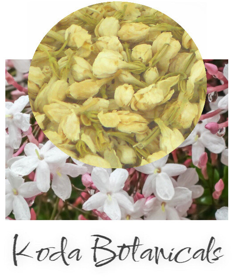 JASMINE Soothing Herbal Tea PREMIUM GRADE Jasminum Officinale Dried Flowers