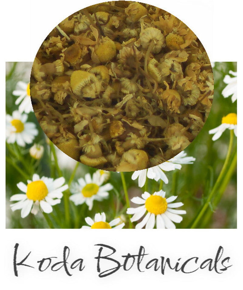 ORGANIC CHAMOMILE Herbal Tea PREMIUM GRADE Matricaria Chamomilla Dried Flowers