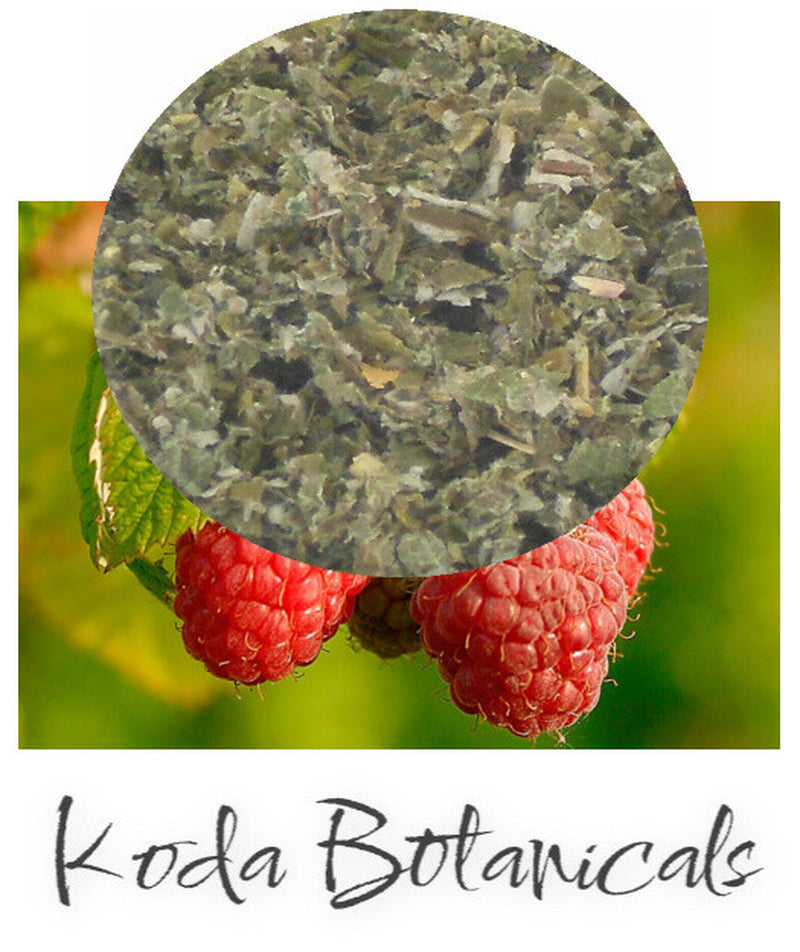 RASPBERRY LEAF Herbal Tea PREMIUM GRADE Rubus Idaeus Dried Leaf