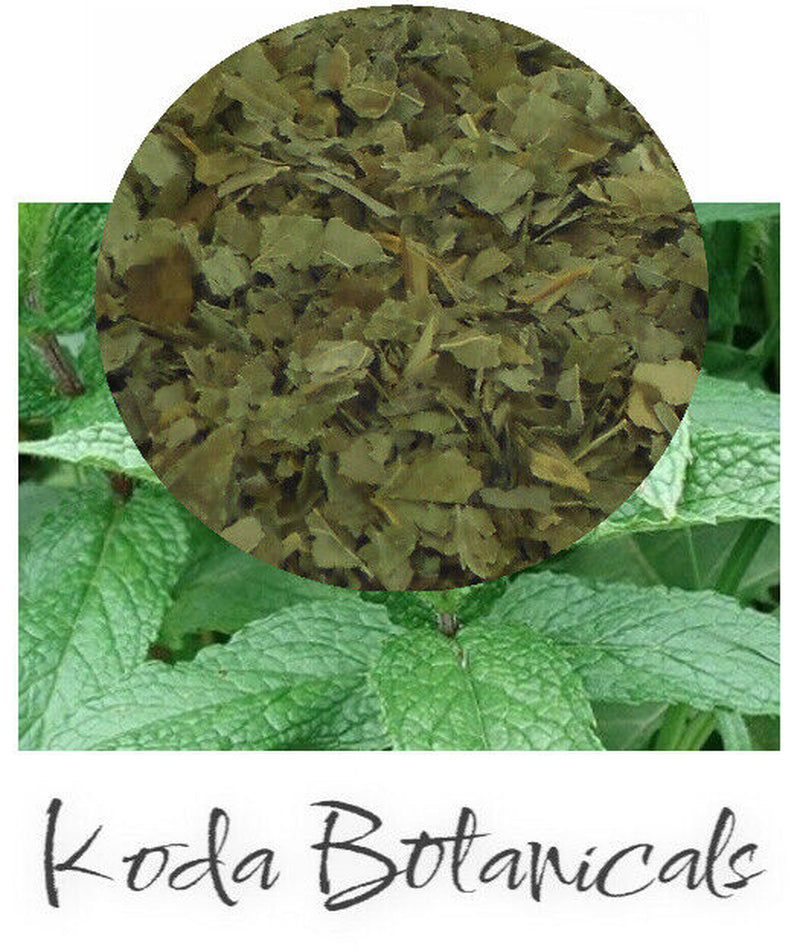 ORGANIC PEPPERMINT Herbal Tea PREMIUM GRADE Mentha Piperita Dried Leaf
