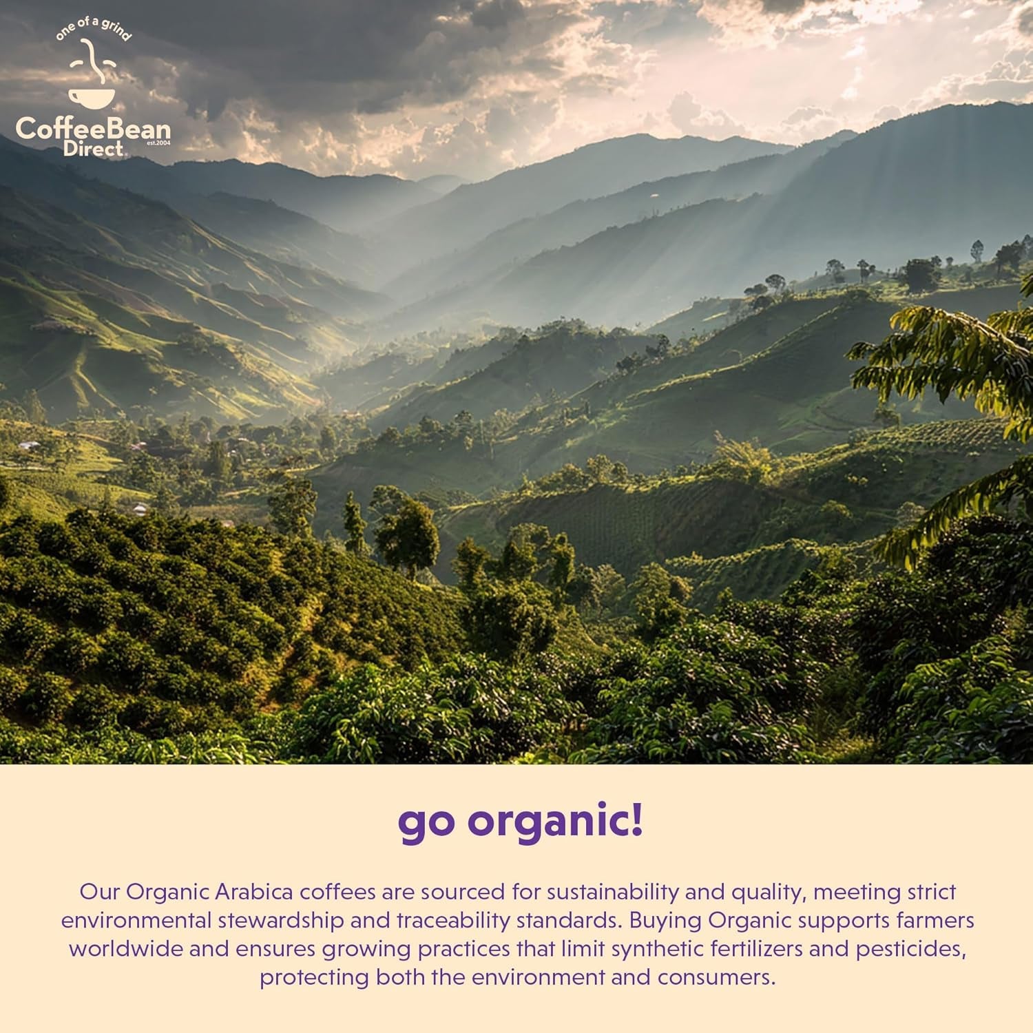 Organic Fair Trade Dark Ethiopian Yirgacheffe, Whole Bean Coffee, Arabica Coffee, Dark Roast, 5 Pound Bag (Pack of 1)