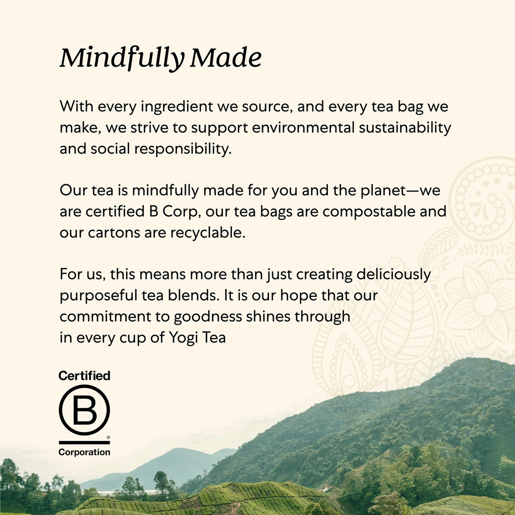 Tea, Green Tea Kombucha Tea, Tea Bags, 16 Ct, 1.12 OZ